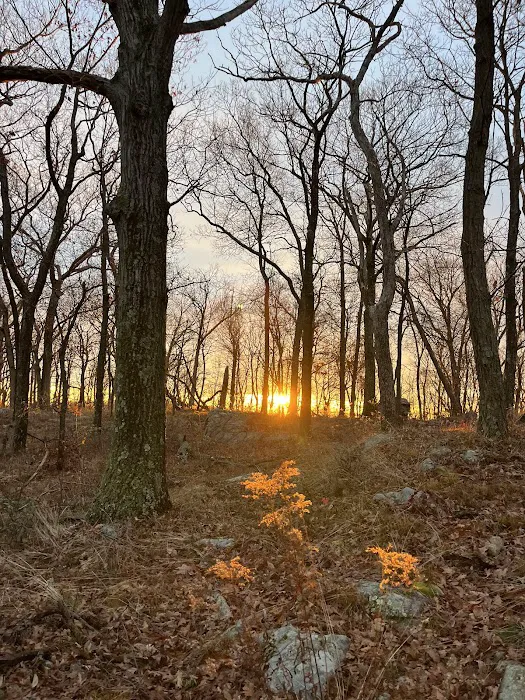 Appalachian Trail at Bear Mountain-Beacon Hwy Picture 8