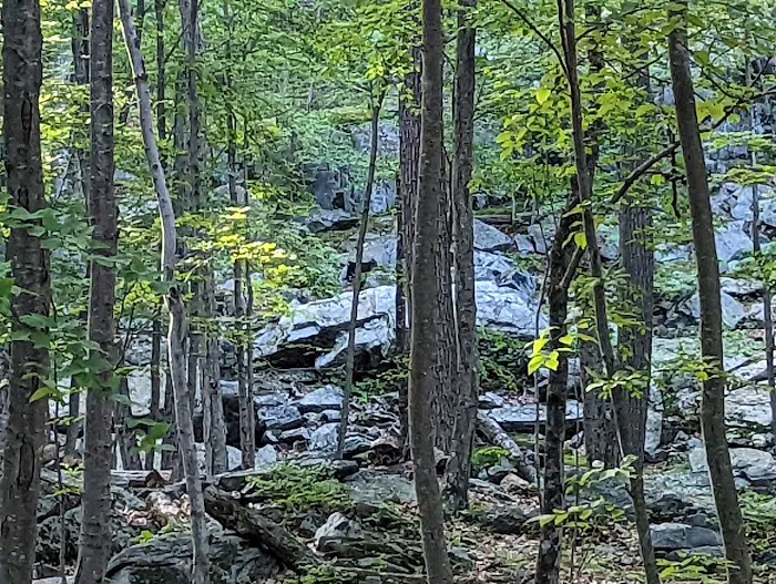 Agatha A. Durland Scout Reservation Picture 5