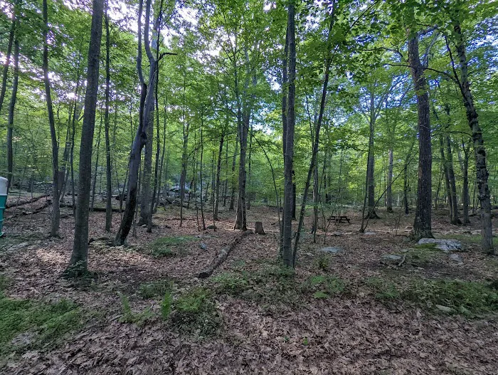 Agatha A. Durland Scout Reservation Picture 4