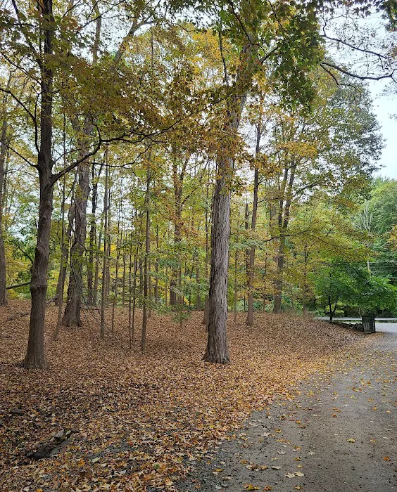Philipstown Park Picture 5