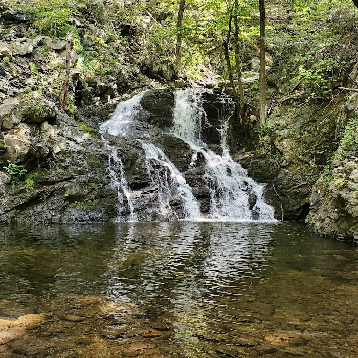 Philipstown Park Picture 2