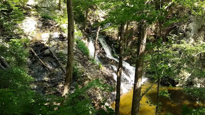 Philipstown Park Picture 3