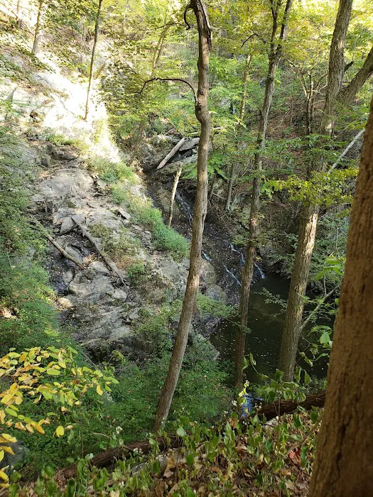 Philipstown Park Picture 9
