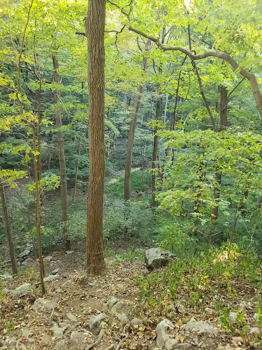 Philipstown Park Picture 10