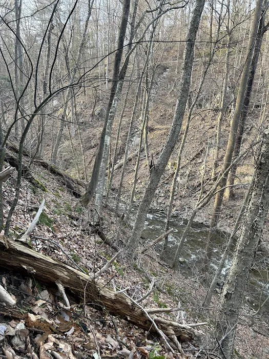 Indian Brook Falls Picture 8