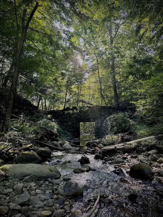 Indian Brook Falls Picture 4
