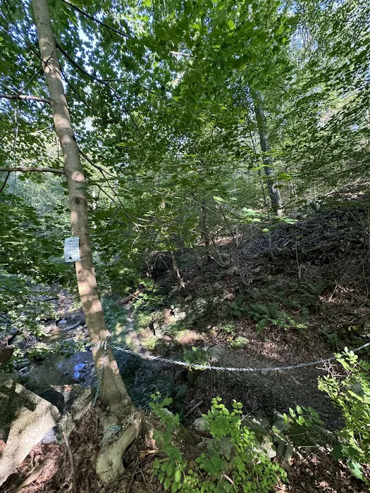Indian Brook Falls Picture 1