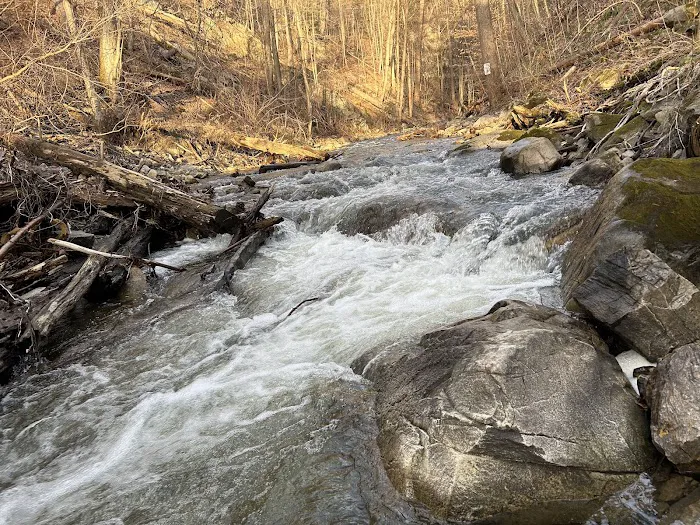 Indian Brook Falls Picture 7
