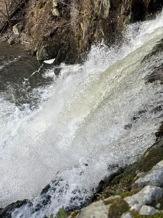 Indian Brook Falls Picture 5