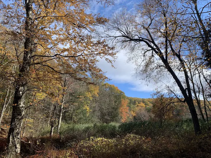 Three Lakes Trailhead Picture 10