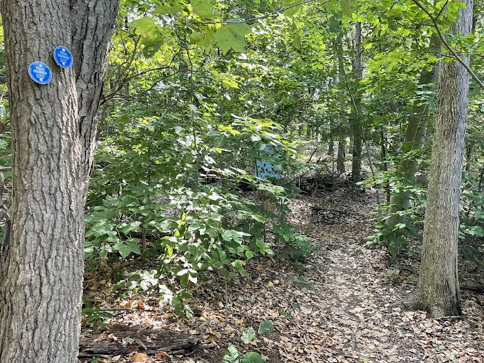 Three Lakes Trailhead Picture 3