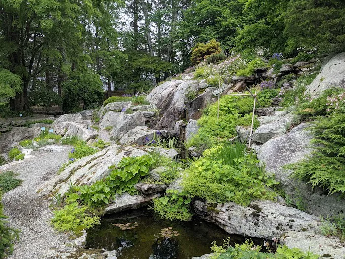 Stonecrop Gardens Picture 7
