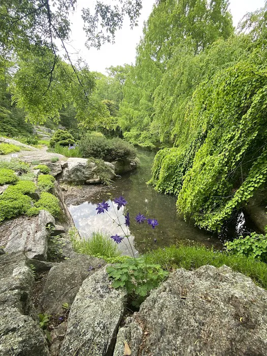 Stonecrop Gardens Picture 3