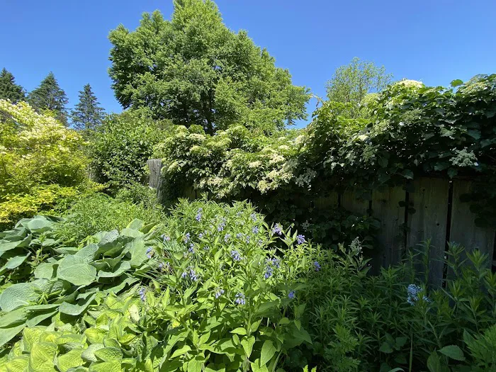 Stonecrop Gardens Picture 4