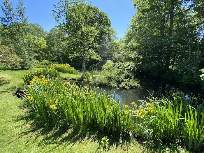 Stonecrop Gardens Picture 6