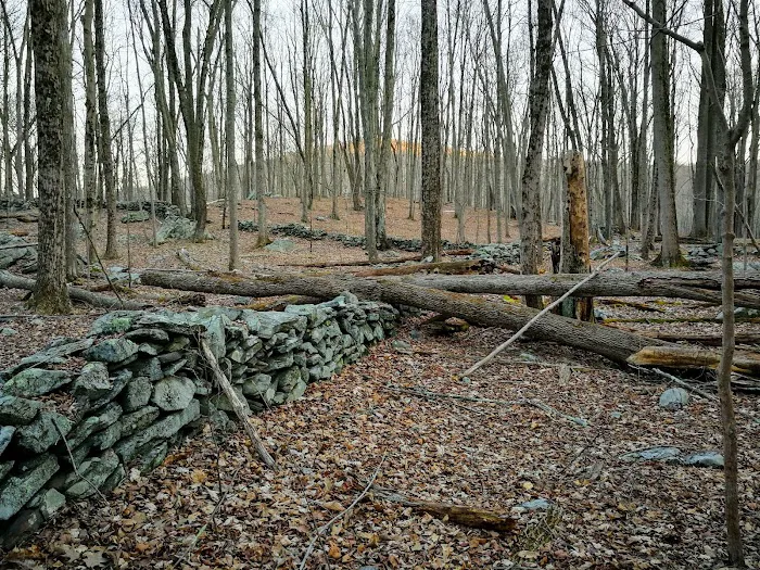 Fahnestock Winter Park Picture 4