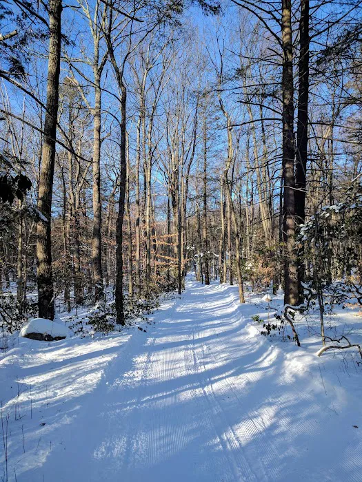 Fahnestock Winter Park Picture 10