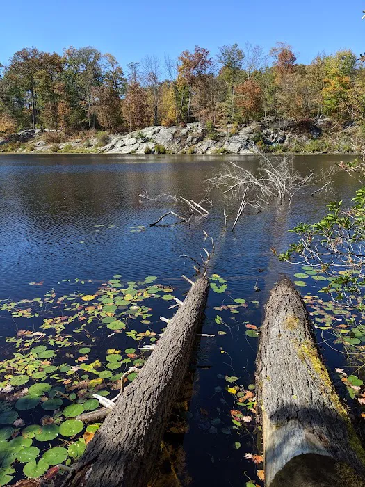 Fahnestock Winter Park Picture 5