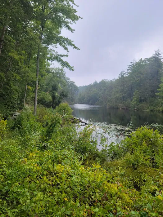 Fahnestock State Park Picture 3