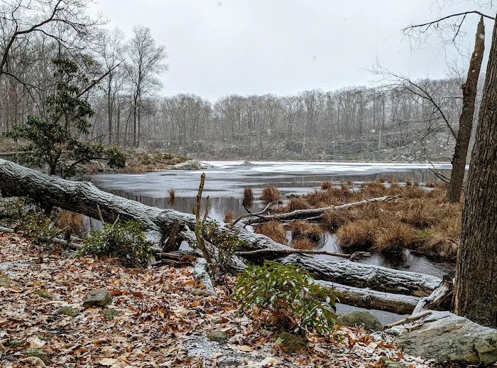 Fahnestock State Park Picture 4