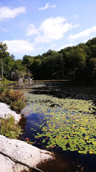 Pelton Pond Picture 5