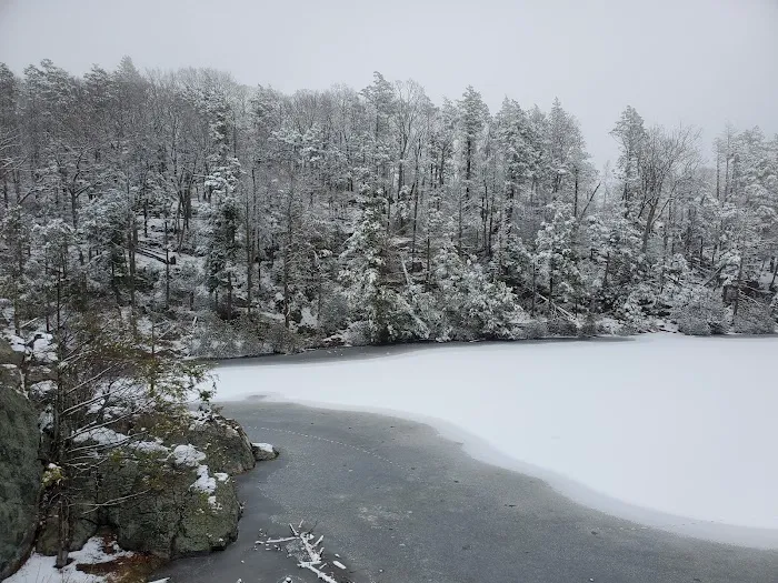 Pelton Pond Picture 3