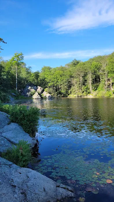 Pelton Pond Picture 4