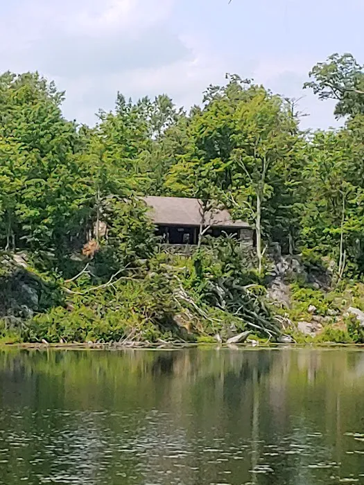Pelton Pond Picture 6