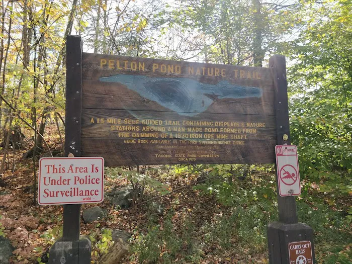 Pelton Pond Picture 8
