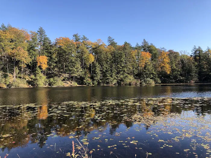 Pelton Pond Picture 7