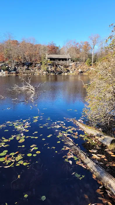 Pelton Pond Picture 10