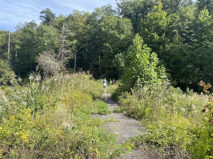 Fahnestock State Park Campground Picture 2