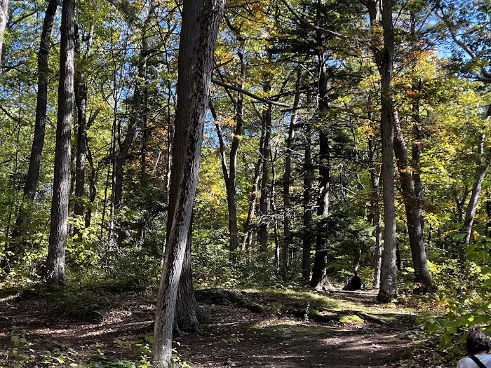 Fahnestock State Park Campground Picture 7