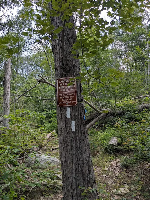 Trail Junction Appalachian Trail & Blue Fahnestock Snowshoe Trail Picture 3