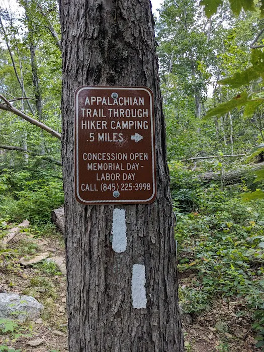 Trail Junction Appalachian Trail & Blue Fahnestock Snowshoe Trail Picture 4
