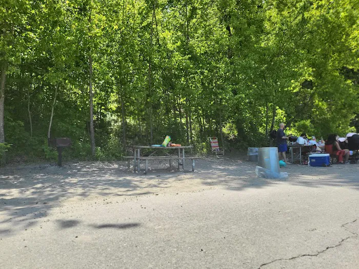 Canopus Lake Beach Picture 1