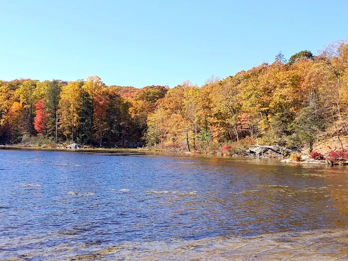 Canopus Lake Beach Picture 4