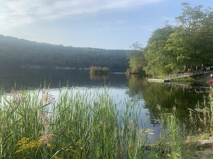 Canopus Lake Beach Picture 7