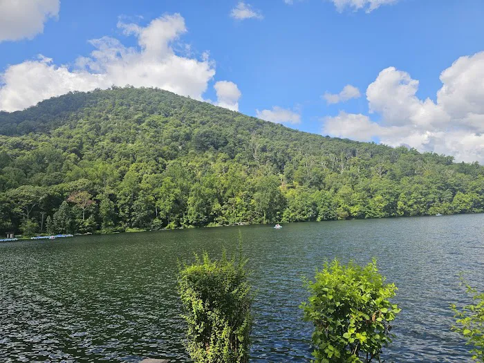 Bear Mountain Inn - Overlook Lodge Picture 9