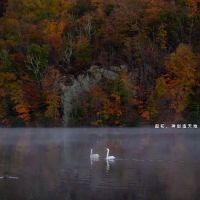 Brooks Lake Trailhead ico