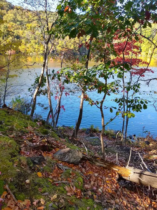 Brooks Lake Parking Picture 7