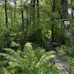 Brinckerhoff Preserve Entrance - Ensor's Trace