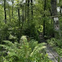 Brinckerhoff Preserve Entrance - Ensor's Trace ico