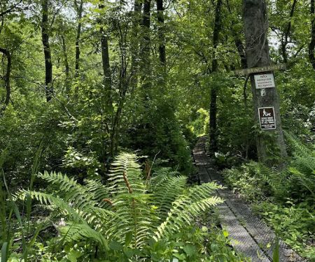 Brinckerhoff Preserve Entrance - Ensor's Trace