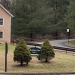 Morehouse Farm Park