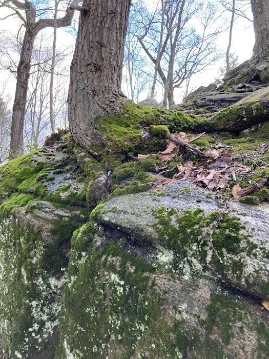 Great Ledge Picture 5