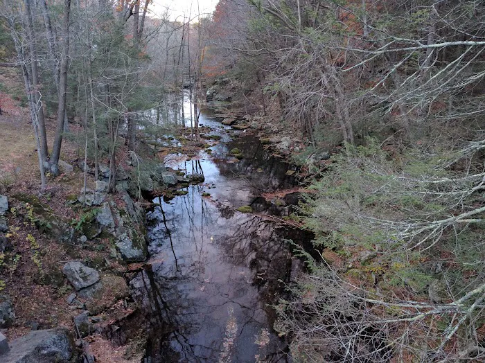 Devils Glen Park Picture 6