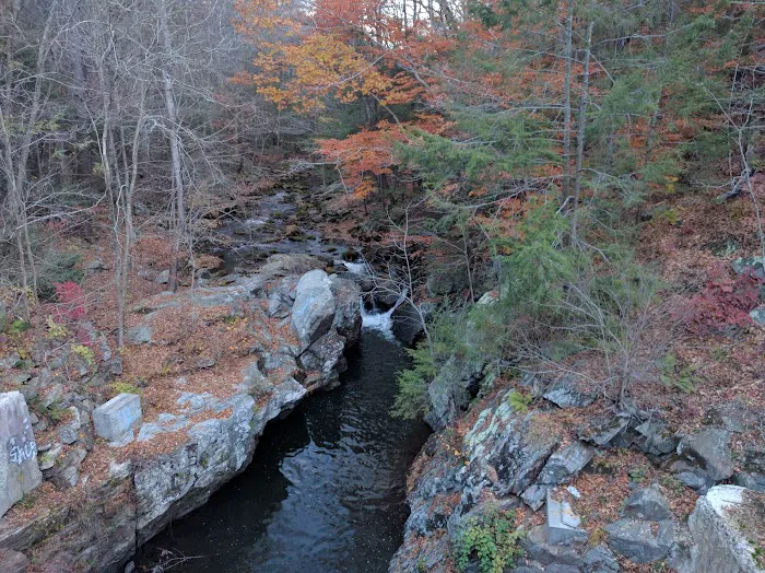 Devils Glen Park Picture 5