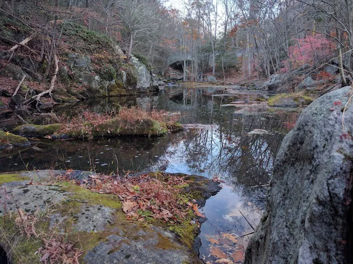 Devils Glen Park Picture 7