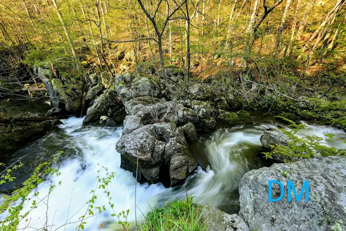 Devils Glen Park Picture 3